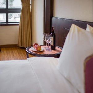 combo khách sạn fressia sapa